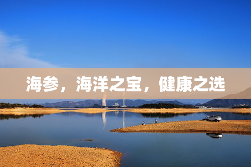 海参，海洋之宝，健康之选