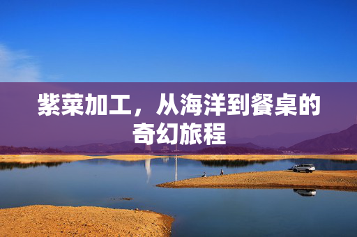 紫菜加工，从海洋到餐桌的奇幻旅程