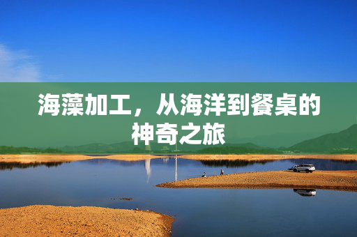 海藻加工，从海洋到餐桌的神奇之旅