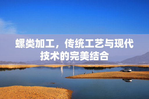 螺类加工，传统工艺与现代技术的完美结合