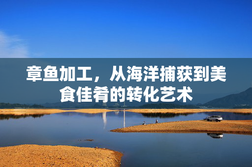 章鱼加工，从海洋捕获到美食佳肴的转化艺术