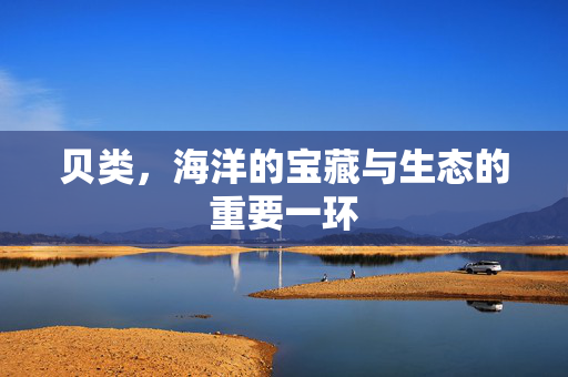 贝类，海洋的宝藏与生态的重要一环