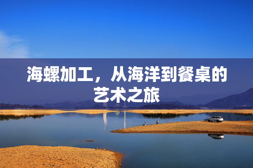 海螺加工，从海洋到餐桌的艺术之旅