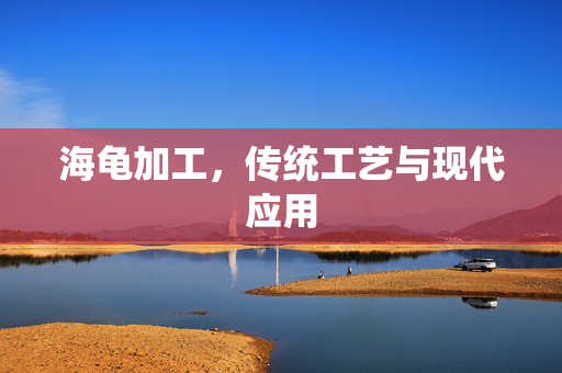 海龟加工，传统工艺与现代应用