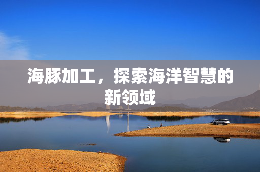 海豚加工，探索海洋智慧的新领域