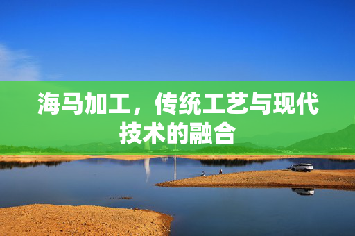 海马加工，传统工艺与现代技术的融合