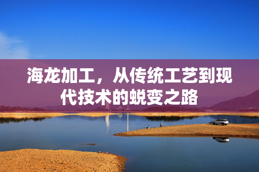 海龙加工，从传统工艺到现代技术的蜕变之路
