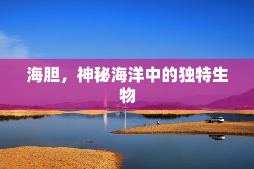 海胆，神秘海洋中的独特生物