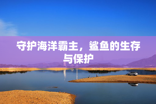 守护海洋霸主，鲨鱼的生存与保护