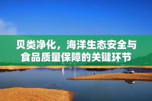 贝类净化，海洋生态安全与食品质量保障的关键环节