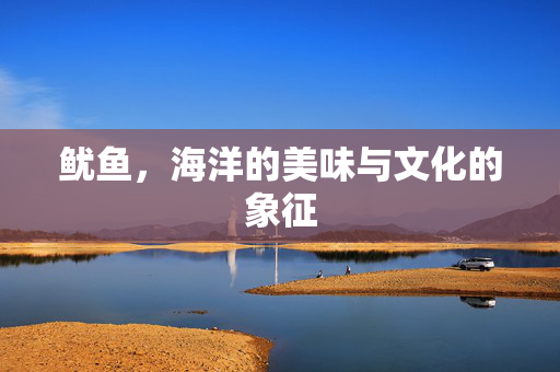 鱿鱼，海洋的美味与文化的象征
