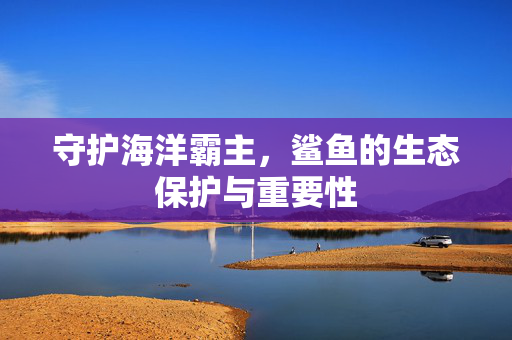 守护海洋霸主，鲨鱼的生态保护与重要性