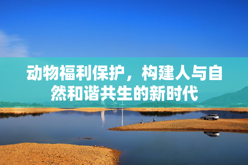 动物福利保护，构建人与自然和谐共生的新时代
