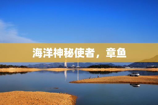 海洋神秘使者，章鱼