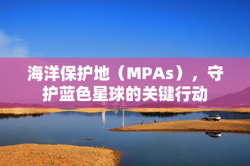 海洋保护地（MPAs），守护蓝色星球的关键行动