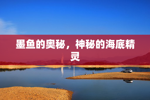 墨鱼的奥秘，神秘的海底精灵