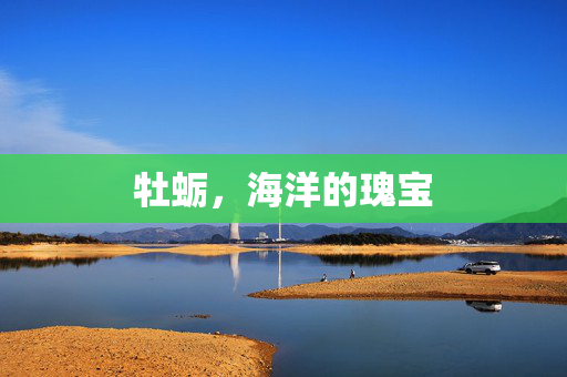 牡蛎，海洋的瑰宝