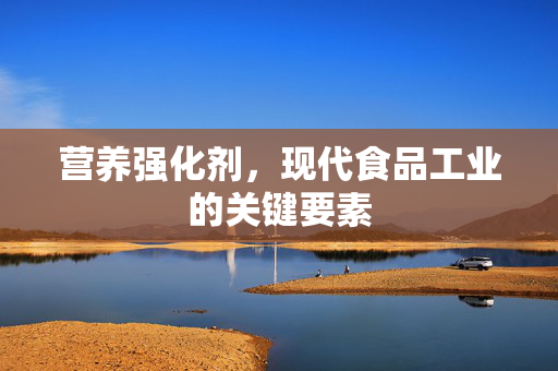 营养强化剂，现代食品工业的关键要素