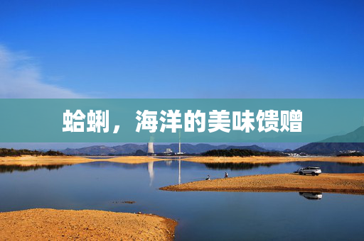 蛤蜊，海洋的美味馈赠