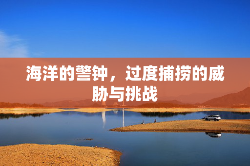 海洋的警钟，过度捕捞的威胁与挑战