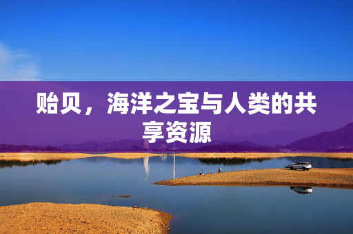 贻贝，海洋之宝与人类的共享资源