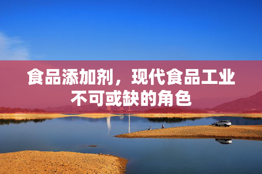 食品添加剂，现代食品工业不可或缺的角色