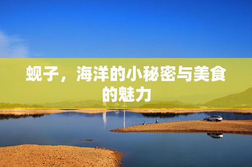 蚬子，海洋的小秘密与美食的魅力