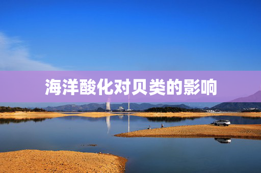 海洋酸化对贝类的影响