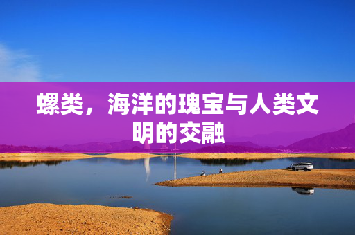 螺类，海洋的瑰宝与人类文明的交融