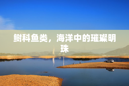 鲥科鱼类，海洋中的璀璨明珠