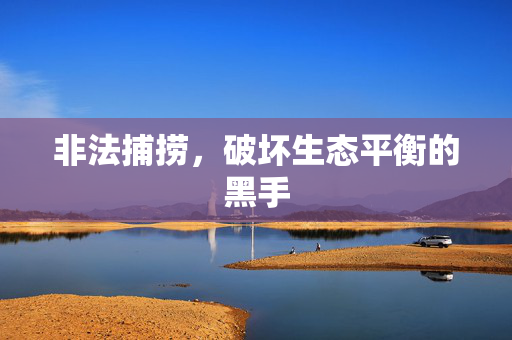 非法捕捞，破坏生态平衡的黑手