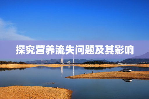探究营养流失问题及其影响