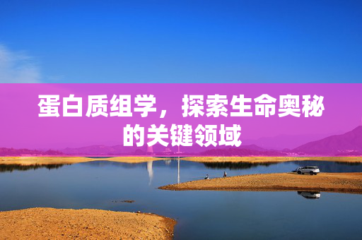 蛋白质组学，探索生命奥秘的关键领域