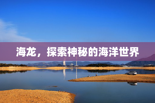 海龙，探索神秘的海洋世界