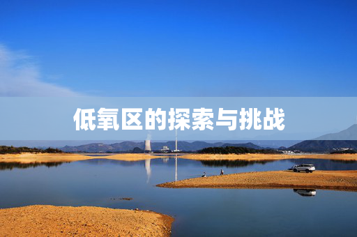 低氧区的探索与挑战
