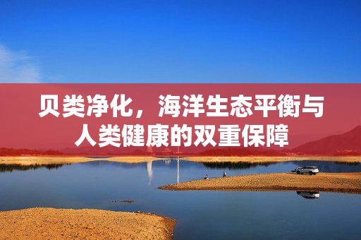 贝类净化，海洋生态平衡与人类健康的双重保障