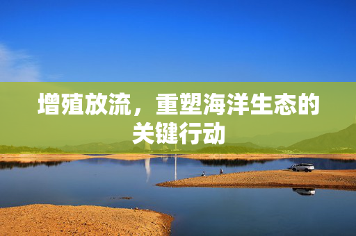 增殖放流，重塑海洋生态的关键行动