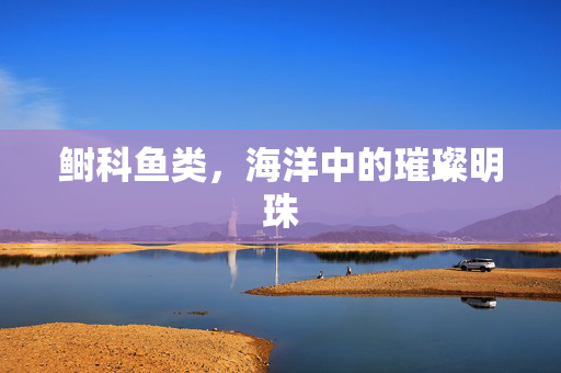 鲥科鱼类，海洋中的璀璨明珠