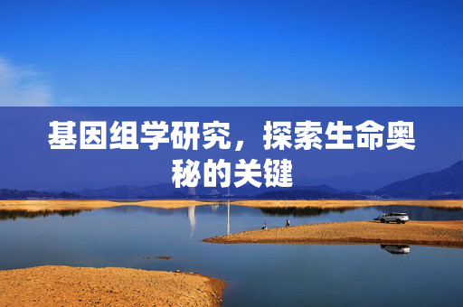 基因组学研究，探索生命奥秘的关键