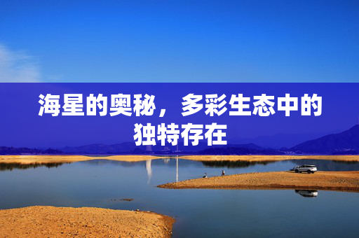 海星的奥秘，多彩生态中的独特存在