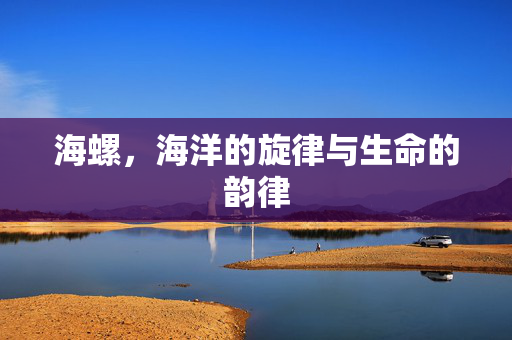 海螺，海洋的旋律与生命的韵律