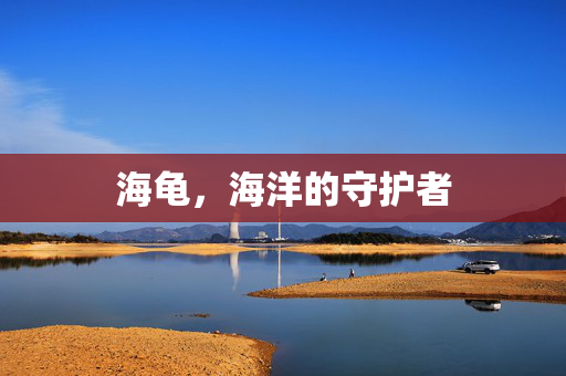 海龟，海洋的守护者