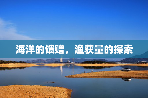 海洋的馈赠，渔获量的探索