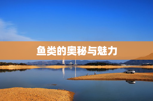 鱼类的奥秘与魅力