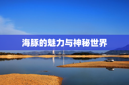 海豚的魅力与神秘世界