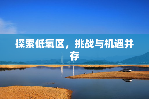 探索低氧区，挑战与机遇并存