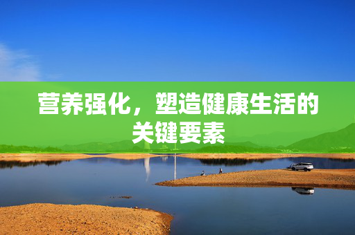 营养强化，塑造健康生活的关键要素
