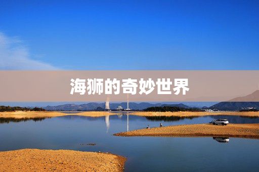 海狮的奇妙世界