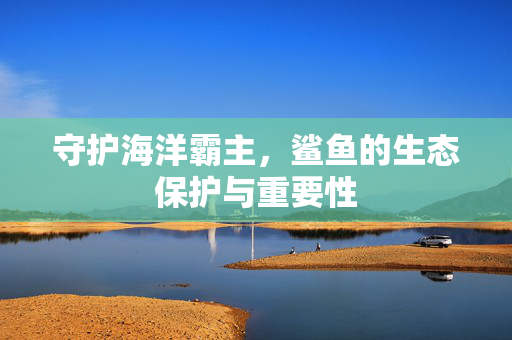 守护海洋霸主，鲨鱼的生态保护与重要性