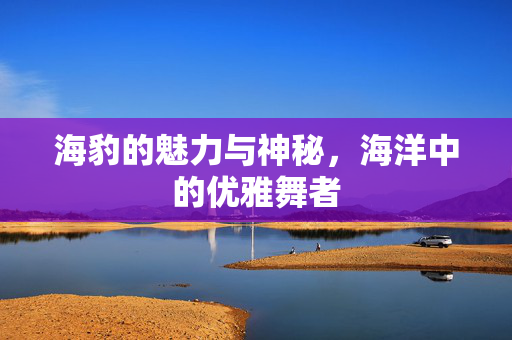 海豹的魅力与神秘，海洋中的优雅舞者